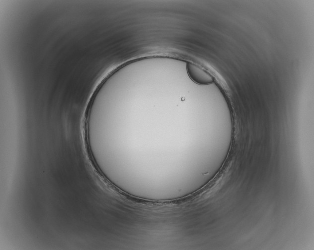X0000111800899200907230952