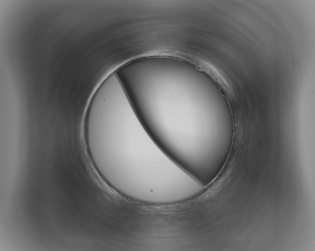 X0000111800900200907230952