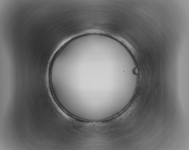 X0000111800902200907230952