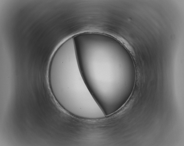 X0000111800904200907230952