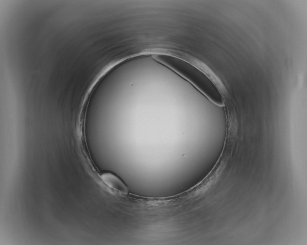 X0000111800908200907230952