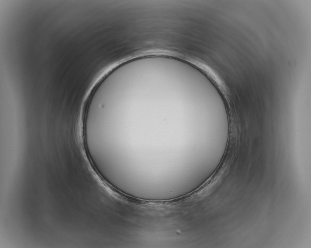 X0000111800910200907230952