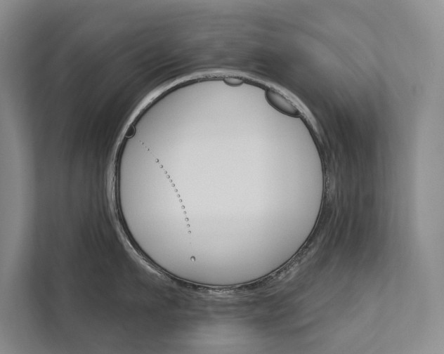 X0000111800911200907230952