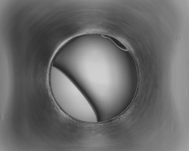X0000111800912200907230952