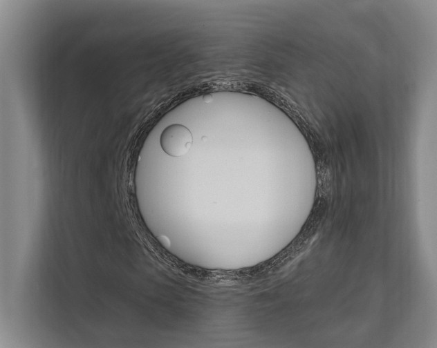 X0000111800913200907230952