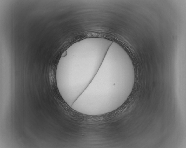 X0000111800915200907230952