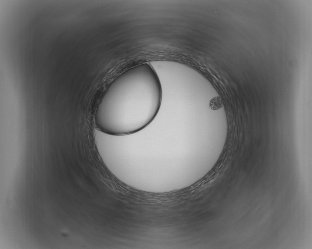 X0000111800916200907230952