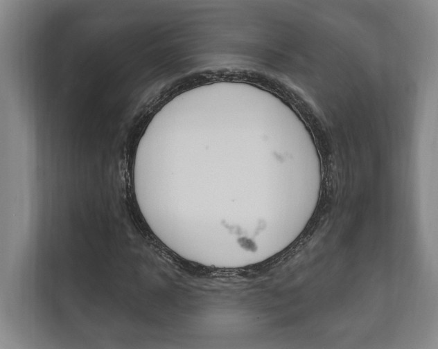 X0000111800918200907230952