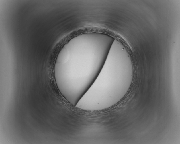 X0000111800919200907230952