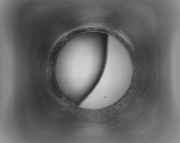 X0000111800920200907230952