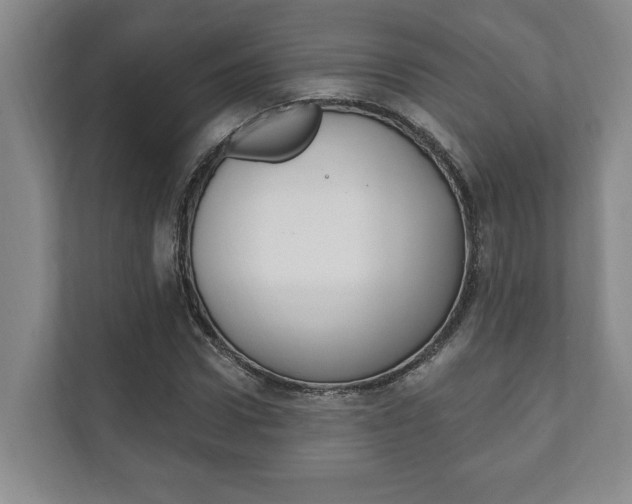 X0000111800922200907230952