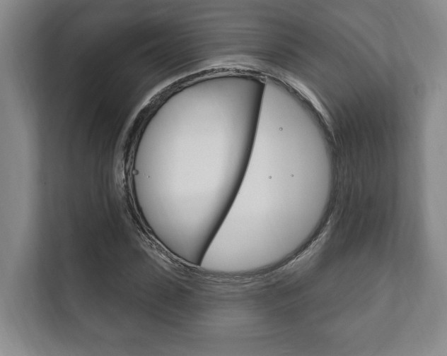 X0000111800923200907230952