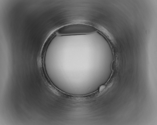 X0000111800924200907230952