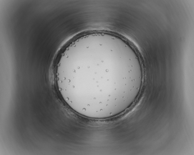 X0000111800925200907230952
