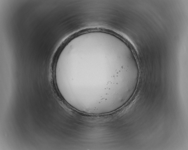 X0000111800927200907230952