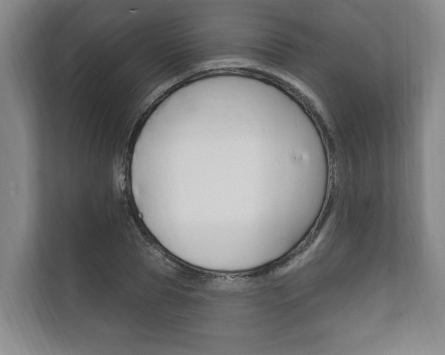 X0000111800929200907230952