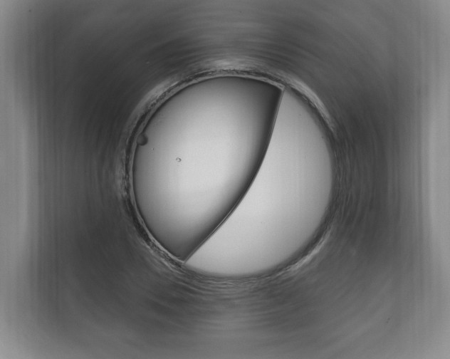 X0000111800930200907230952
