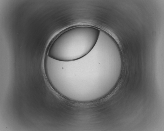 X0000111800936200907230952