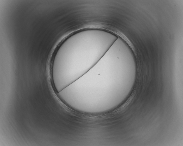 X0000111800939200907230952