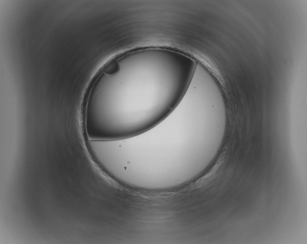 X0000111800942200907230952