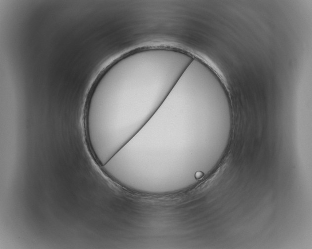 X0000111800943200907230952