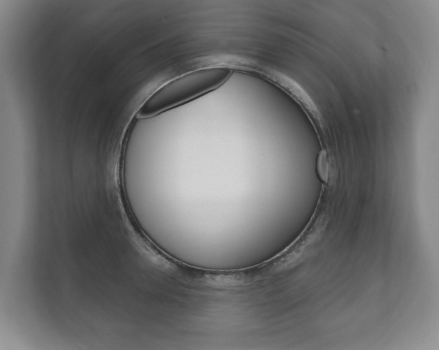 X0000111800946200907230952