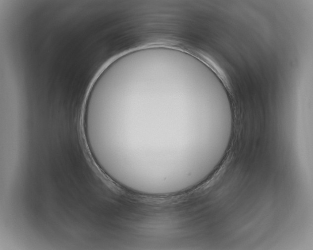X0000111800948200907230952