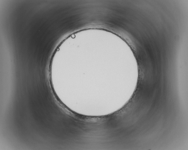 X0000111800950200907230952
