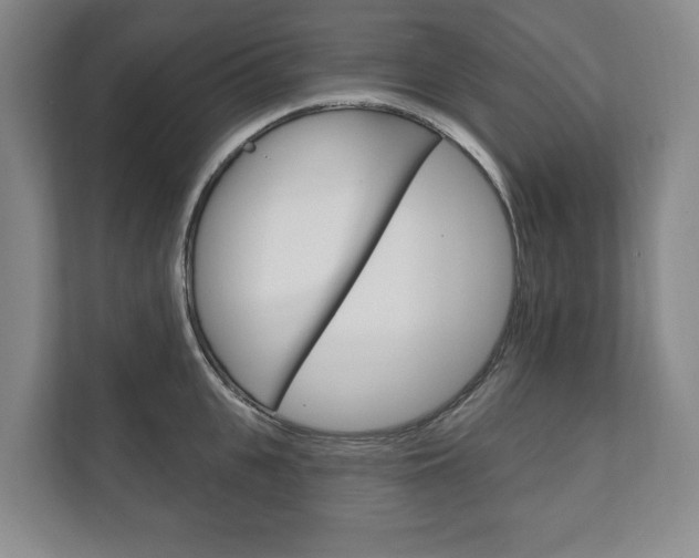 X0000111800951200907230952