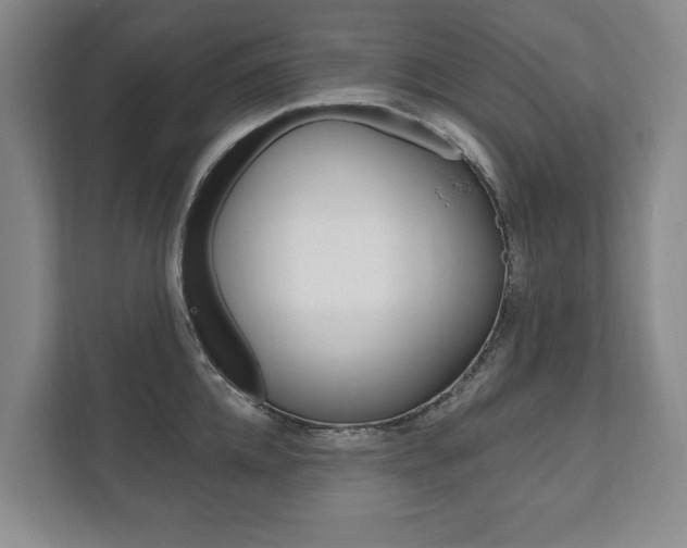 X0000111800952200907230952