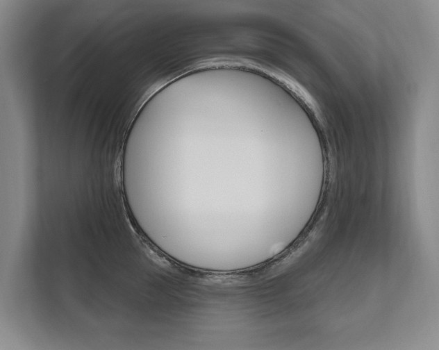 X0000111800953200907230952