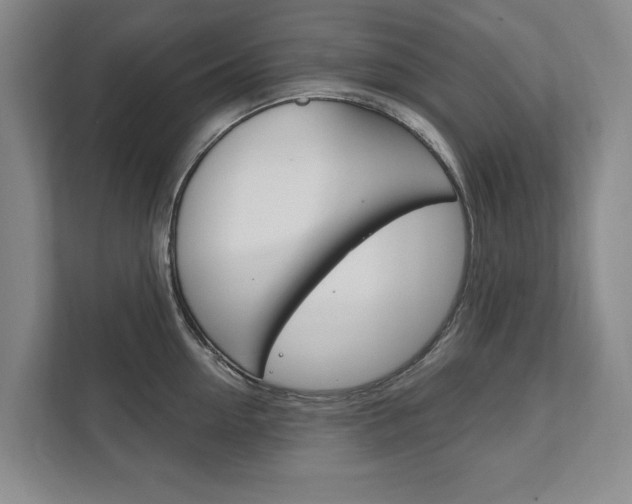 X0000111800954200907230952