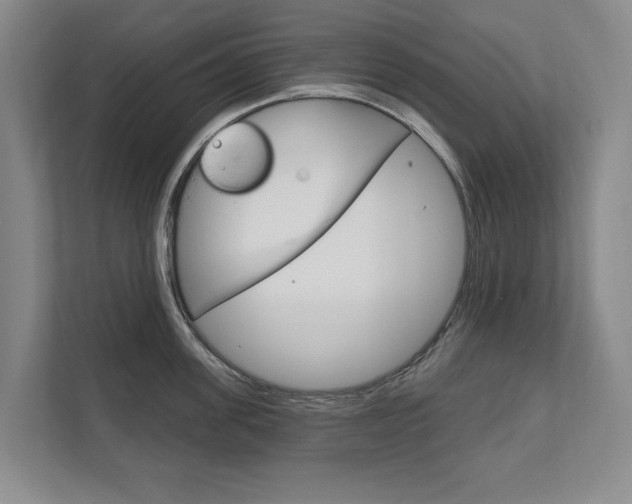 X0000111800955200907230952