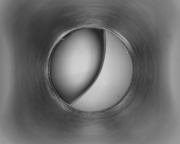 X0000111800956200907230952