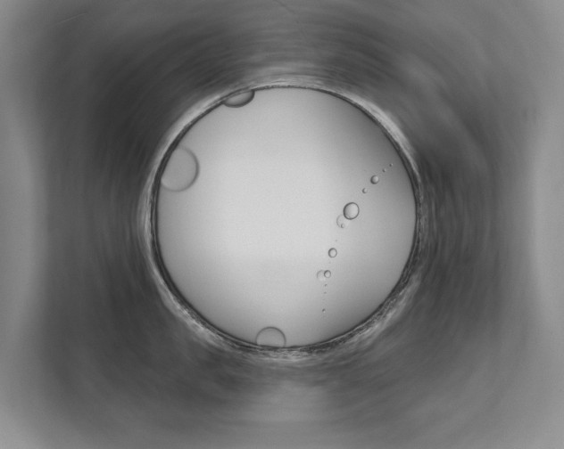 X0000111800957200907230952