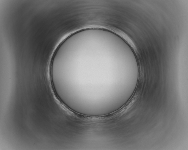X0000111800958200907230952
