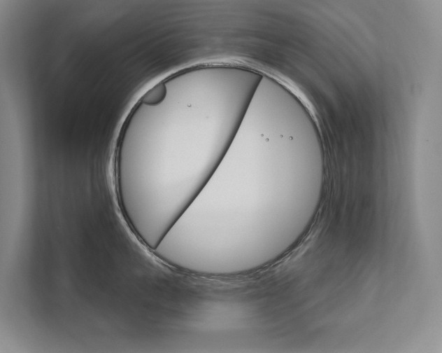 X0000111800959200907230952