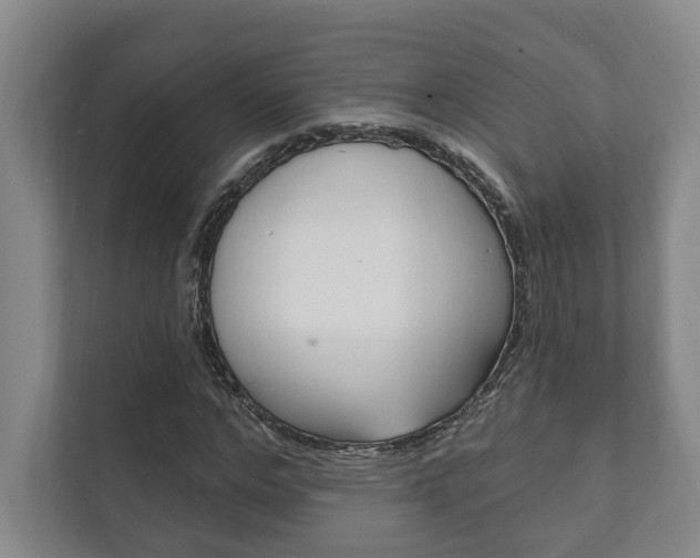 X0000111800968200907230952