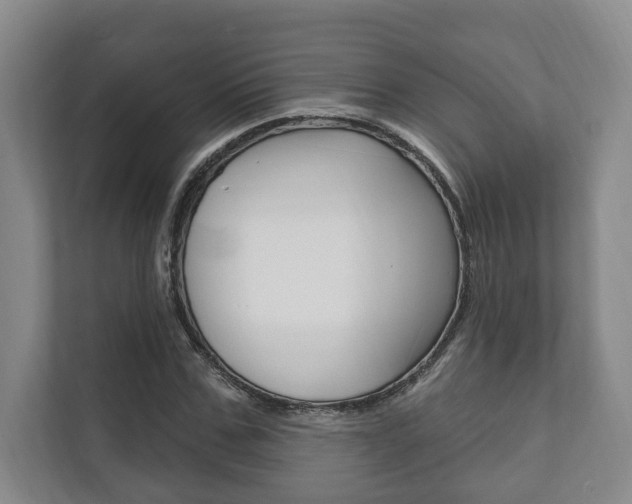 X0000111800971200907230951