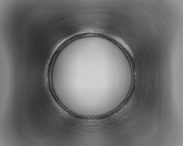 X0000111800972200907230951