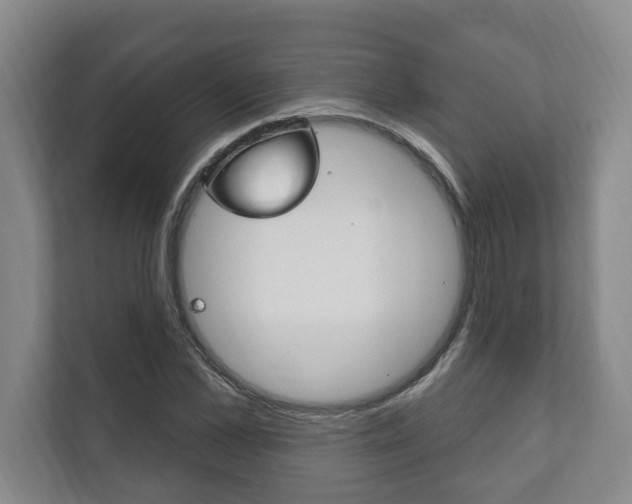 X0000111800973200907230951