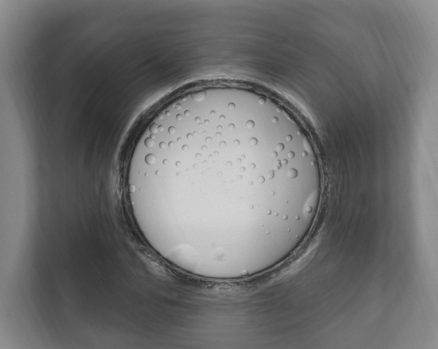 X0000111800974200907230951