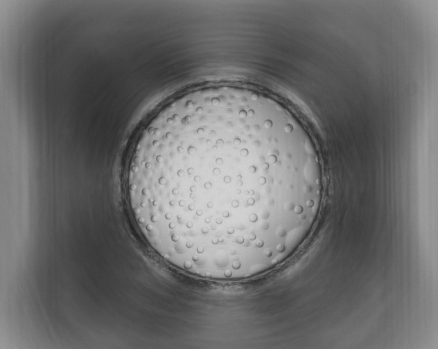 X0000111800978200907230951
