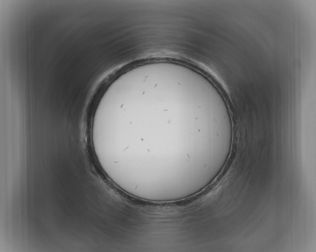 X0000111800979200907230951