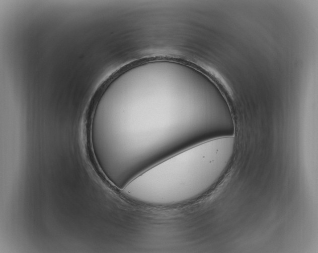 X0000111800983200907230951
