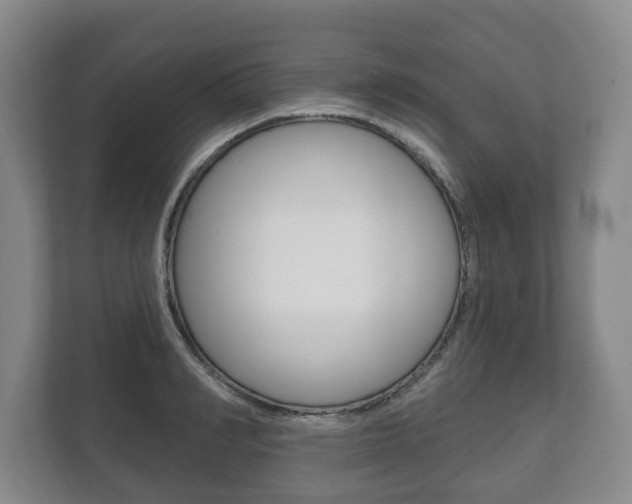X0000111800990200907230951