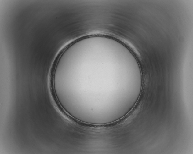 X0000111800991200907230951