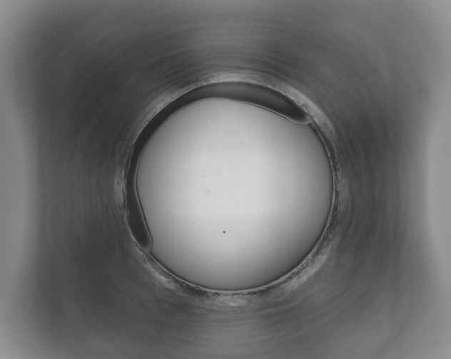 X0000111800993200907230951