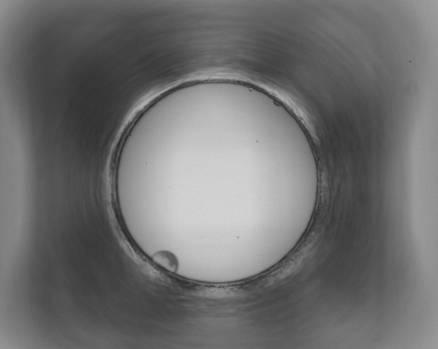 X0000111800998200907230951