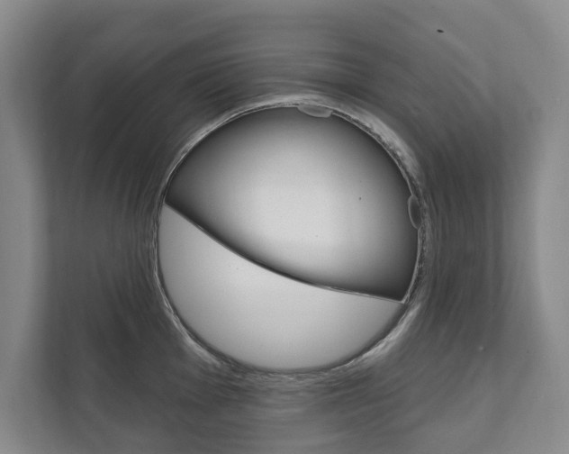 X0000111801001200907230951
